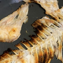 イナダ ワラサのしゃぶしゃぶ 釣り用 レシピ 作り方 By うつぼさん 楽天レシピ イナダ ワラサのしゃぶしゃぶ 釣り用 レシピ 作り方 By うつぼさん 楽天レシピ
